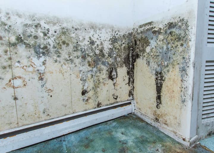 water damage to walls and floor causing mold in Queens, NY